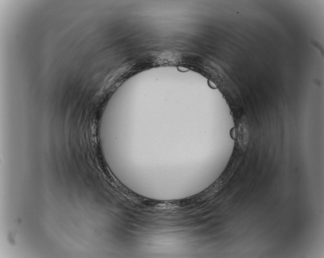X0000103930714200809191123