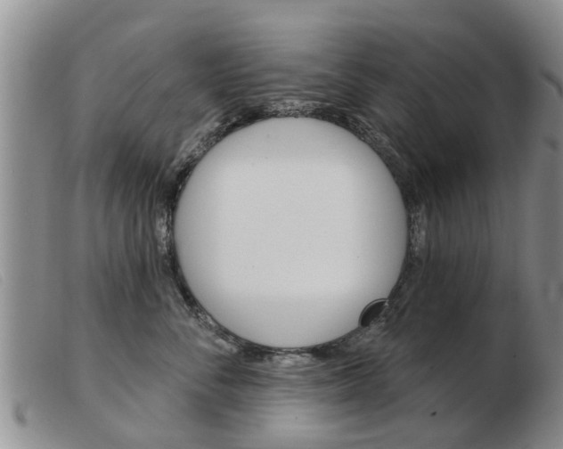 X0000103930716200809191123