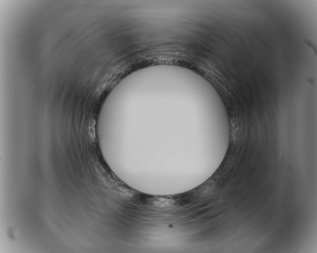 X0000103930718200809191123
