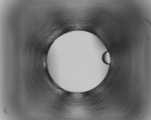 X0000103930719200809191123
