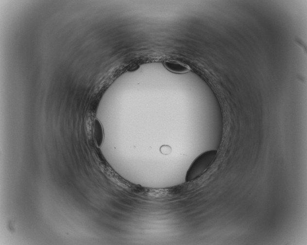 X0000103930720200809191123