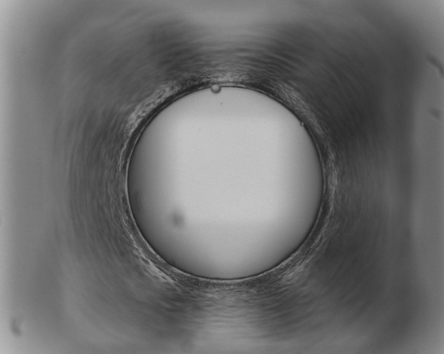 X0000103930721200809191122
