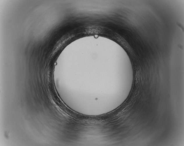 X0000103930722200809191122