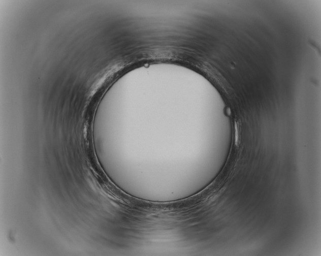 X0000103930723200809191122