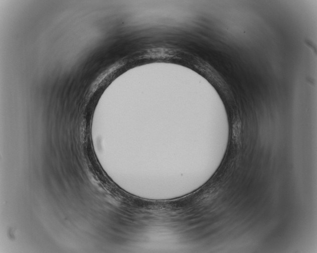 X0000103930724200809191122