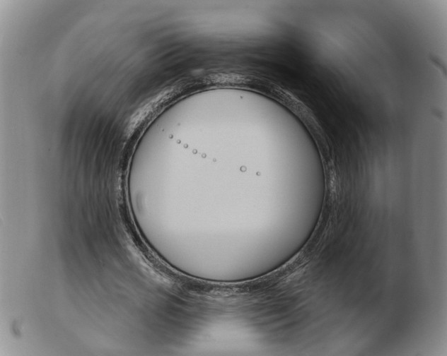 X0000103930725200809191122