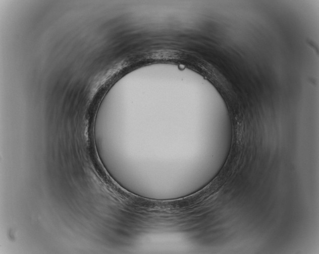 X0000103930727200809191122