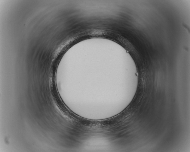 X0000103930728200809191122