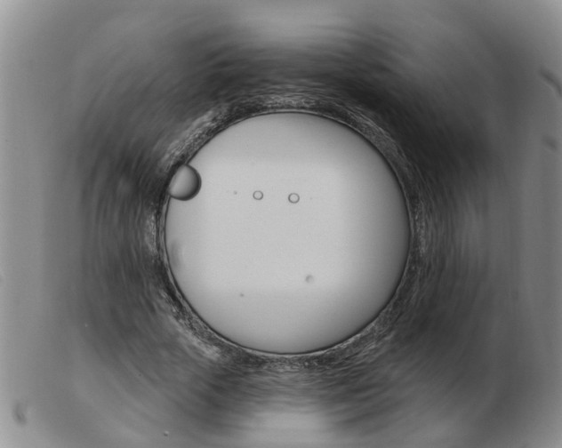 X0000103930729200809191123