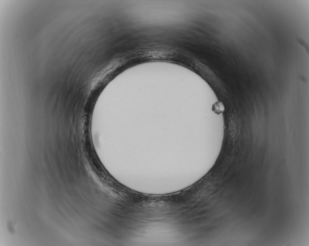 X0000103930730200809191123