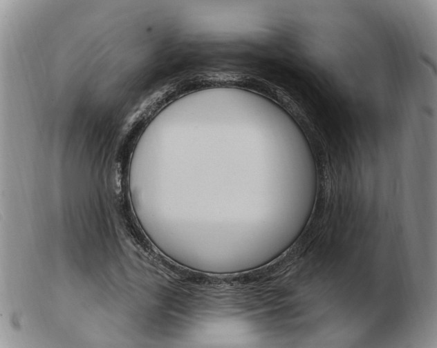 X0000103930731200809191123