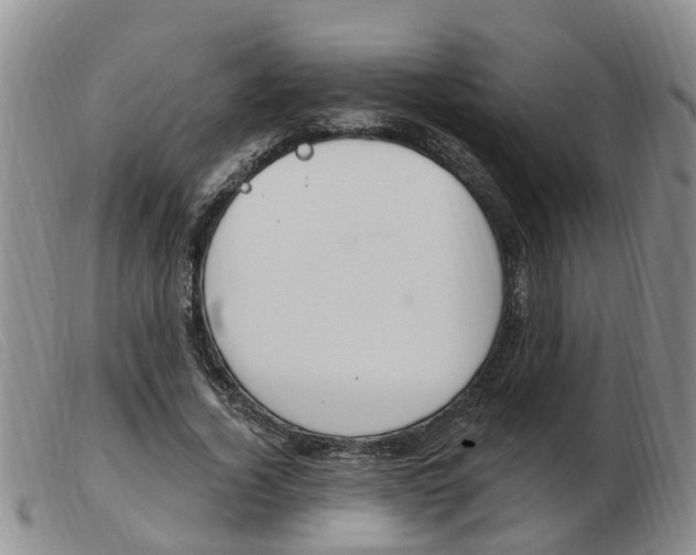 X0000103930732200809191123
