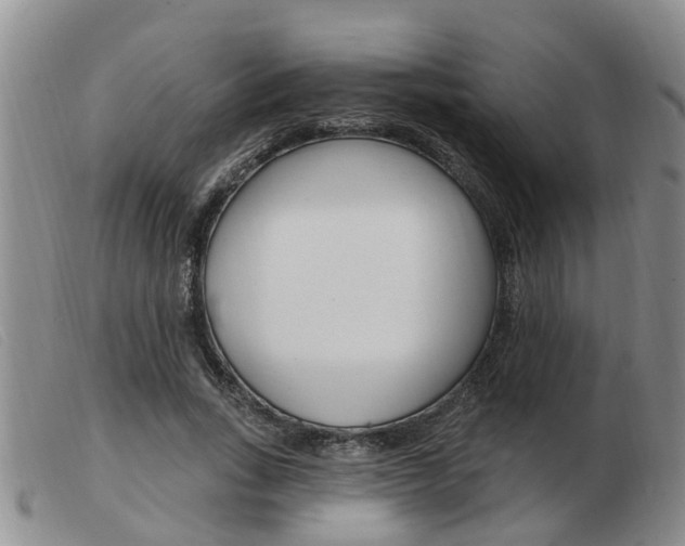X0000103930735200809191123