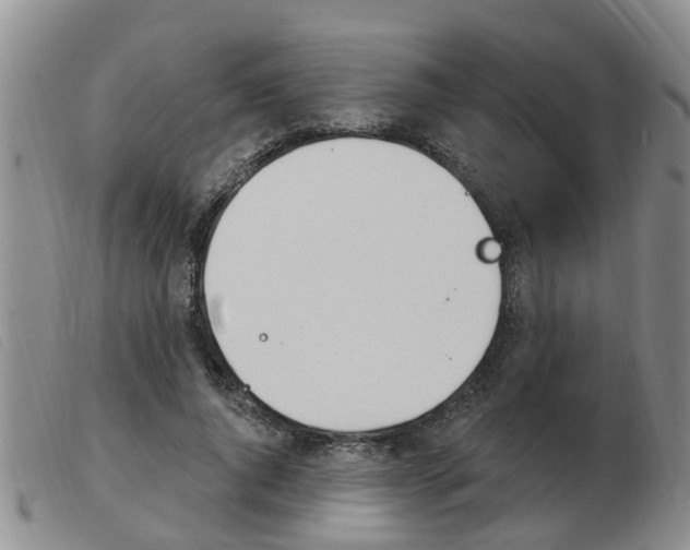 X0000103930736200809191123