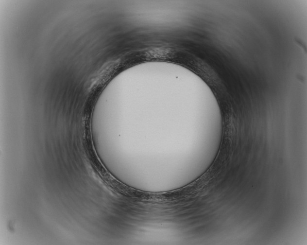 X0000103930738200809191123