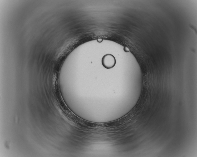 X0000103930742200809191123