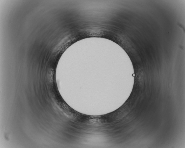 X0000103930744200809191123