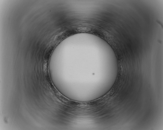 X0000103930745200809191123