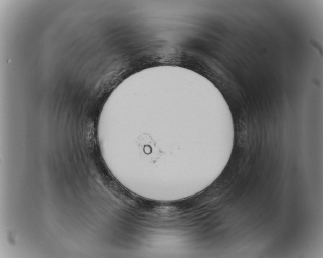 X0000103930748200809191123
