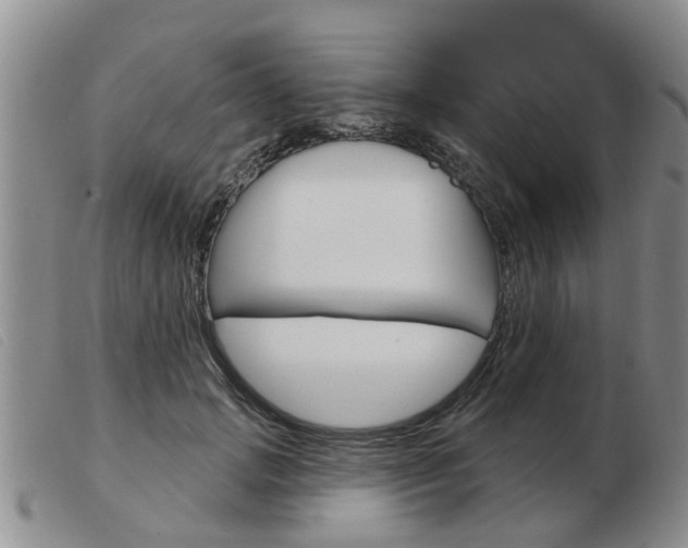 X0000103930749200809191123