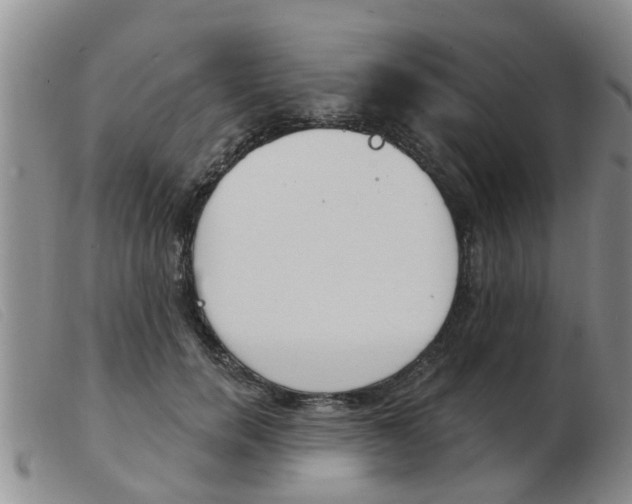 X0000103930750200809191123