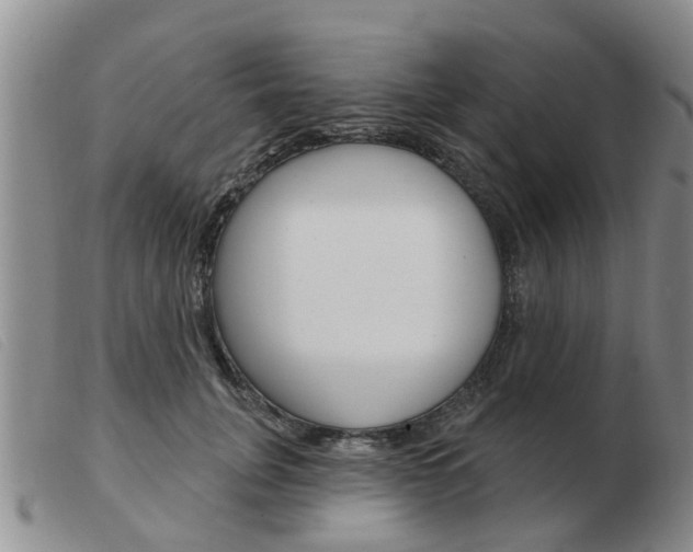 X0000103930751200809191123