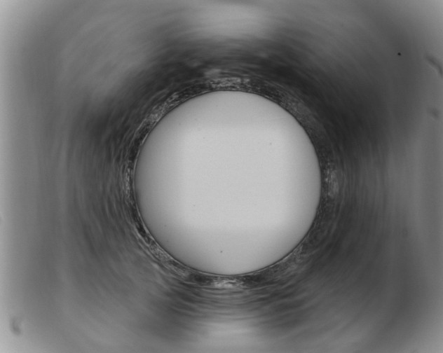 X0000103930753200809191123