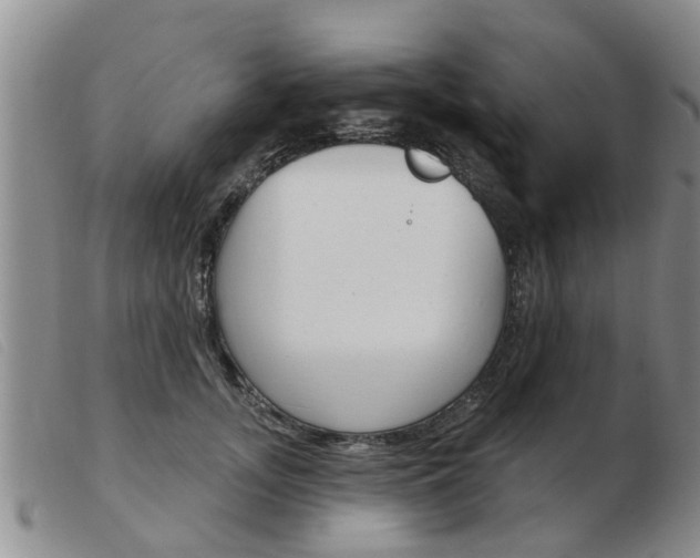 X0000103930755200809191123