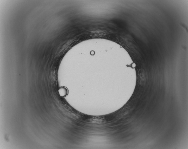 X0000103930756200809191123