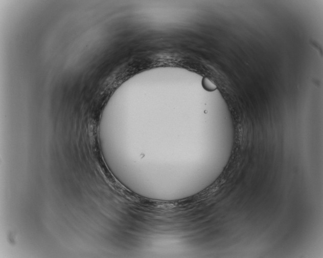 X0000103930757200809191123