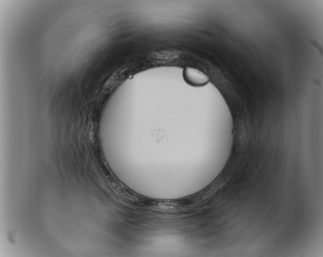 X0000103930758200809191123