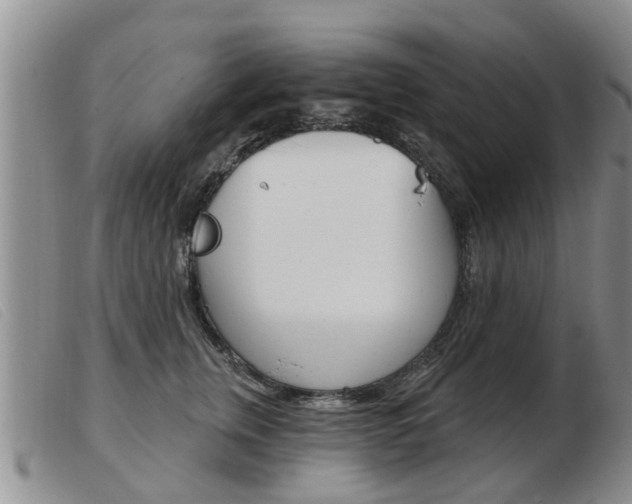 X0000103930759200809191123