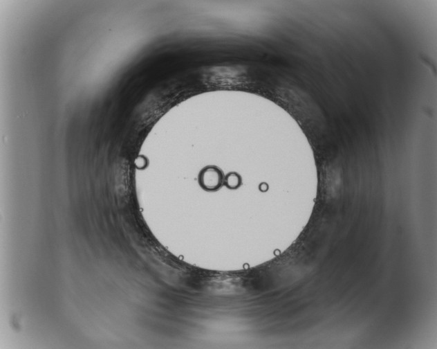 X0000103930760200809191123