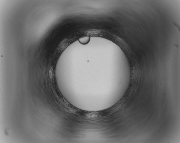 X0000103930761200809191123