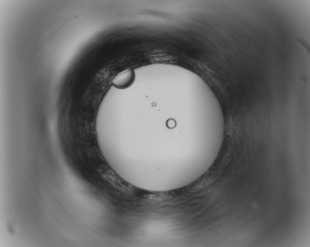 X0000103930763200809191123