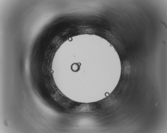 X0000103930764200809191123