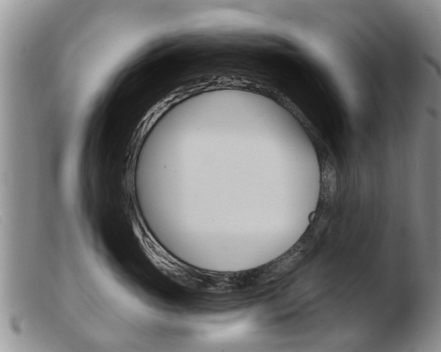 X0000103930765200809191123