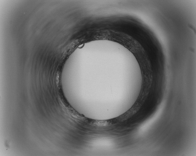 X0000103930767200809191123