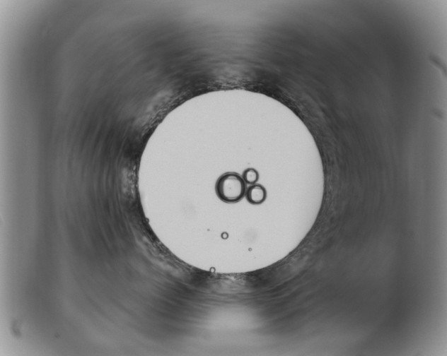 X0000103930768200809191123