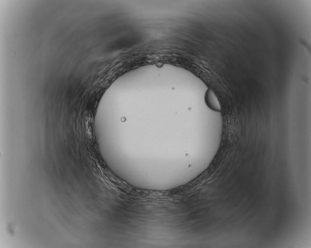 X0000103930770200809191122
