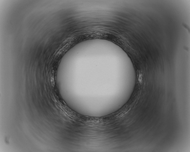 X0000103930771200809191122