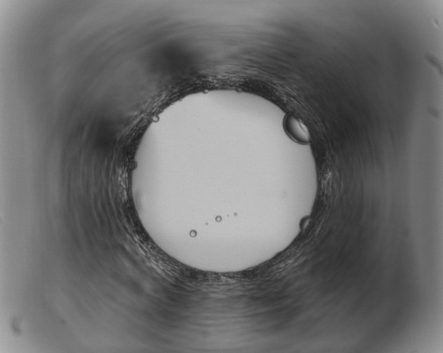 X0000103930772200809191122