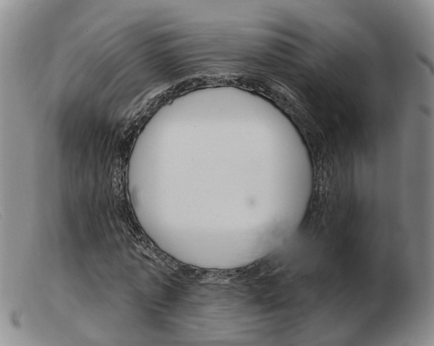 X0000103930773200809191122
