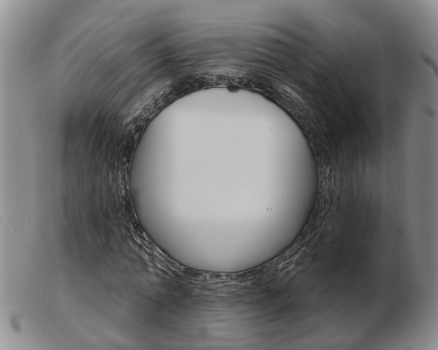 X0000103930774200809191122
