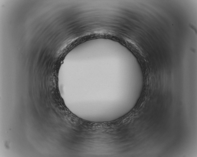 X0000103930776200809191122