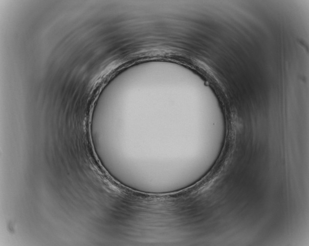 X0000103930778200809191122