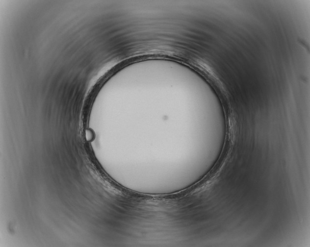 X0000103930780200809191122
