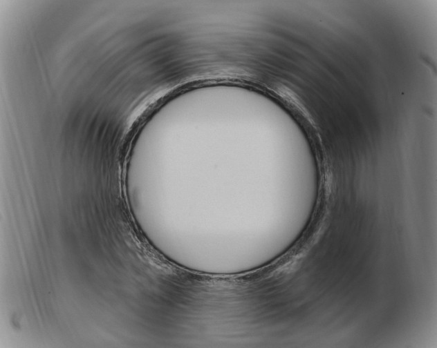 X0000103930781200809191122