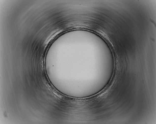 X0000103930782200809191122