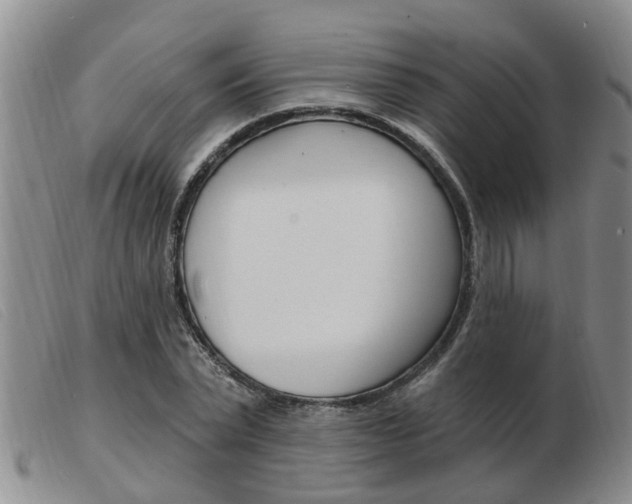 X0000103930783200809191122